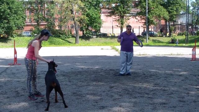 дог пуллер прыжки смотреть онлайн