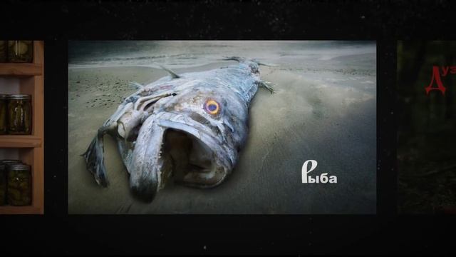 Азбука Фотодженики | Фотографии на любую букву | Фото для рекламы, дизайна, интерьеров, СМИ смотреть онлайн
