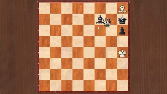 Тест на разряд в шахматах. 13 из 17. Шахматные задачи мат в 2 хода. Шахматы. Решение задач.