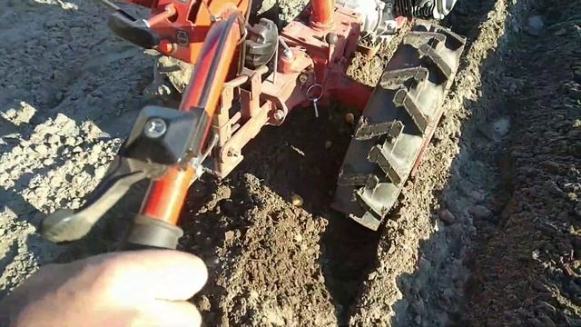 мотоблок мтз,посадка картофеля под плуг в ряды смотреть онлайн