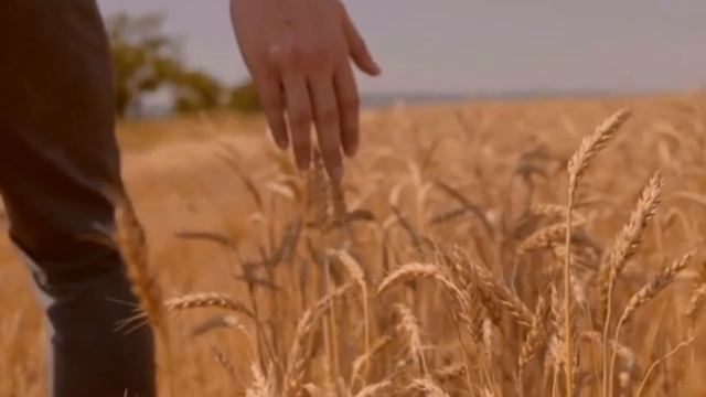 Хьо ю нехан (Бисултанов Апти) смотреть онлайн