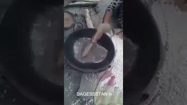 ШОК!!! Пластиковый рис от китайцев смотреть онлайн