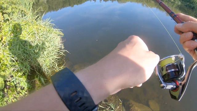 JENZI | Немецкая БЛЕСНА для щуки где много травы смотреть онлайн