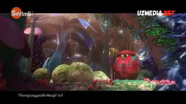 Yangi Multfilm Uzbek Tilida Tomosha Qiling Янги мултфилм узбек тилидатомоша килинг TURLI_VIDEOLAR_T