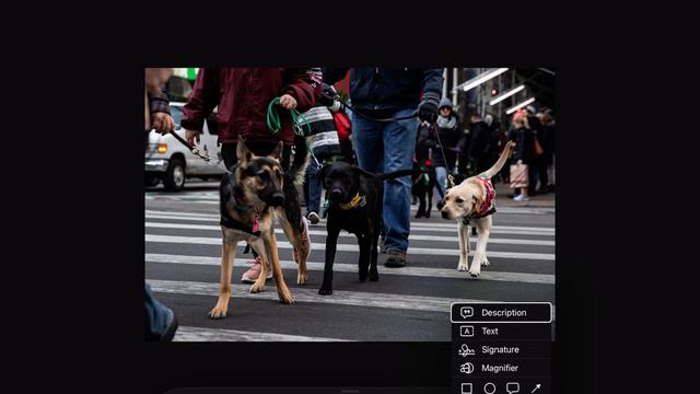 How to add alt text to photos in iOS￼ смотреть онлайн