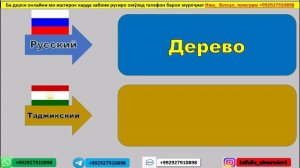 Русский Таджикский словарь для начинающий урок 3 || Русӣ Тоҷикӣ луғат барои навомӯзон дарсӣ 3