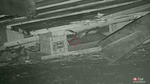 THE FARMYARD VERMIN HUNTER RAT SHOOTING VIDEO WITH SUB 12 AIR RIFLES IN THE UK 12