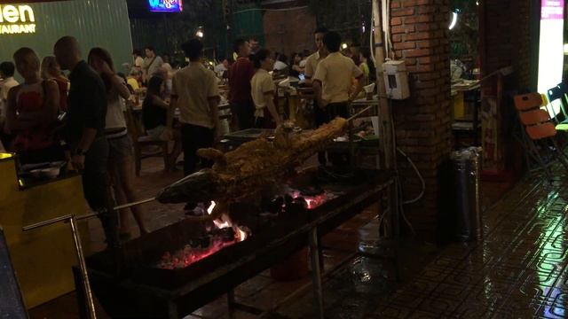 жарят крокодила смотреть онлайн