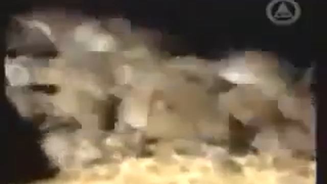 Армия мышей смотреть онлайн