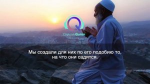 Ясин сура - очень красивое чтение корна турецким чтецом. Слушайте коран ведь он лечит сердце.