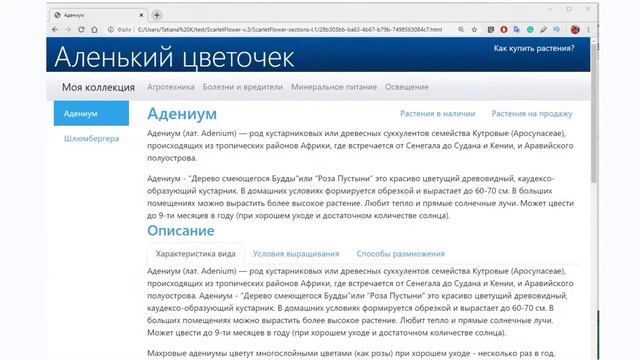1. Что такое конструктор и генератор статических сайтов Nasdanika Vinci? Создаем сайт из mind-map. смотреть онлайн