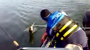 Нугушский судак 2009  НУГУШ РЫБАЛКА