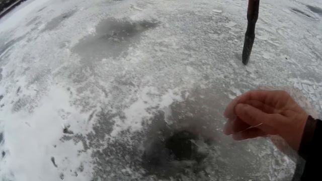 ЗИМНЯЯ РЫБАЛКА. ЭКСТРЕМАЛЬНАЯ ЛОВЛЯ ОКУНЯ МЕЖДУ ПРОМОИН.ловля на безмотылку.окунь зимой. смотреть онлайн