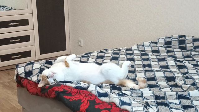 Кузя смотреть онлайн