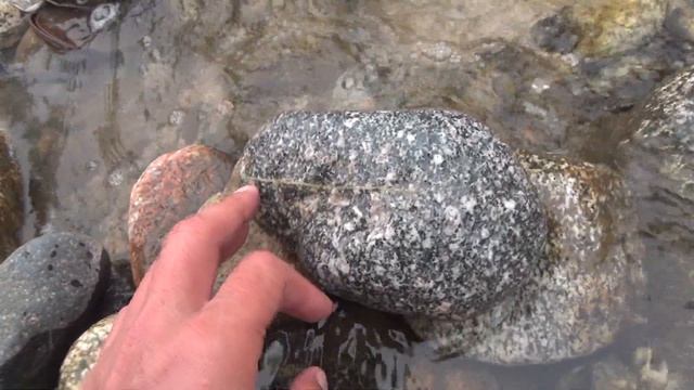 Какие только природа камни не создала смотреть онлайн