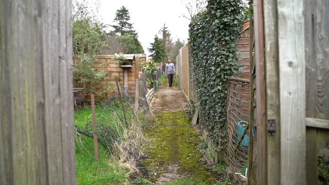 Cross RODES - RODE NT1A, RODE Video Micro, RODE Wireless GO Microphones смотреть онлайн