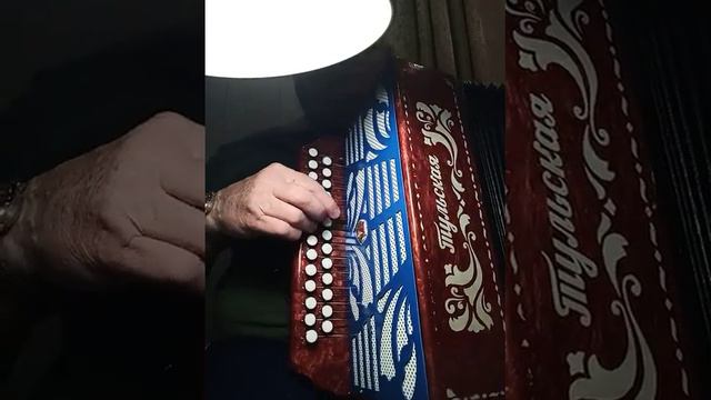 БЕЛЫМ СНЕГОМ на гармони 27 смотреть онлайн