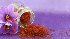 ВЫРАЩИВАНИЕ ШАФРАНА КАК БИЗНЕС ИДЕЯ