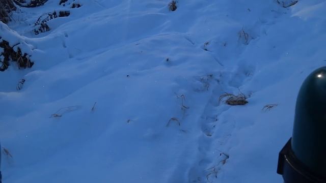 НАКИПЕЛО! Новый термос STANLEY Classic 1,3 литра смотреть онлайн
