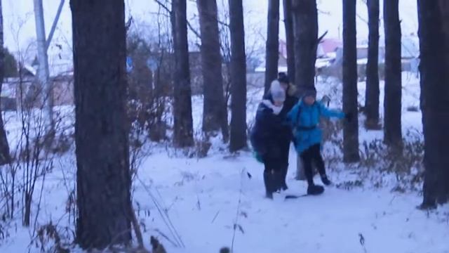 Берегите лес смотреть онлайн
