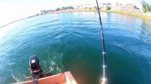 Рыбалка на хариуса с лодки на Ангаре.