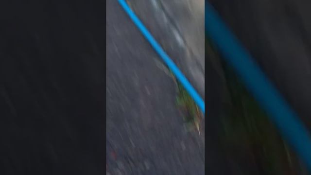 28 июня 2023 г. смотреть онлайн