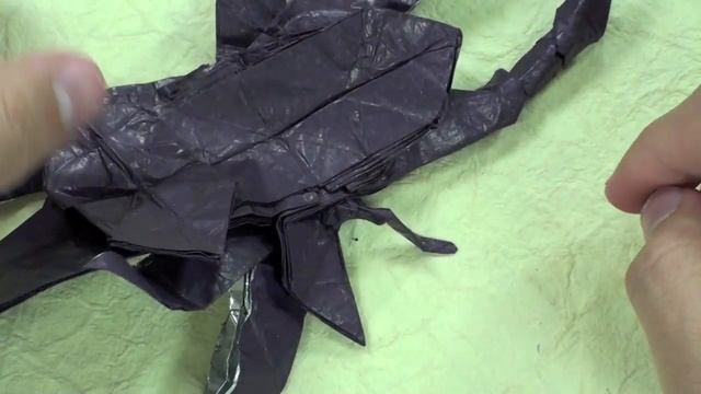 Scorpion Details