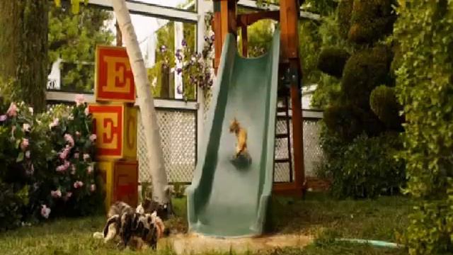 Beverly Hills Chihuahua 2(2011)-The family just got bigger!!! смотреть онлайн