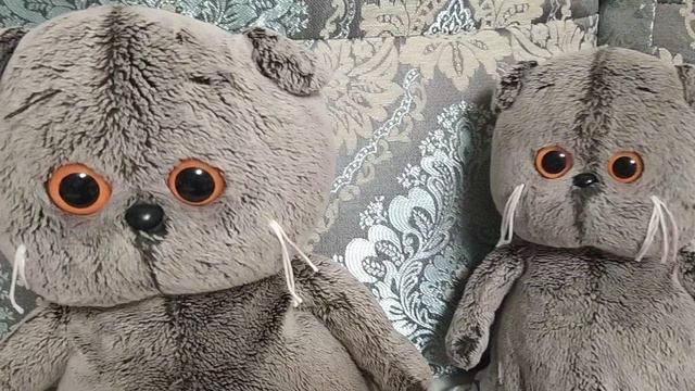 вечерний влог знакомства с членами семьи у нас новый котик смотреть онлайн