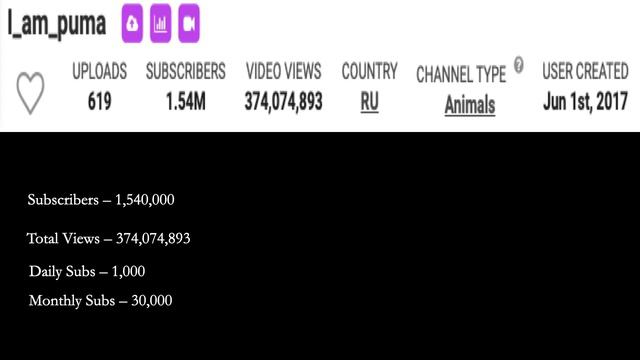 How much I am puma makes on Youtube смотреть онлайн