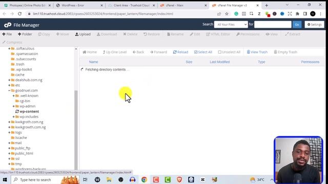 How to Fix WordPress "CRITICAL ERROR" Issue - Only 3 Mins. смотреть онлайн