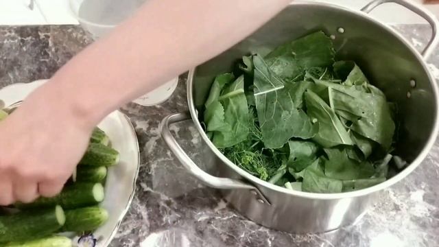 Шаманские ритуалы