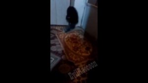 В Дагестане поймали домового!