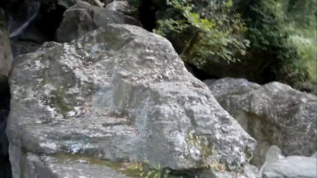 В чащобах Пилио: вода, камни, загадочный лес, тишина. Глушь.... Фессалия, Греция смотреть онлайн