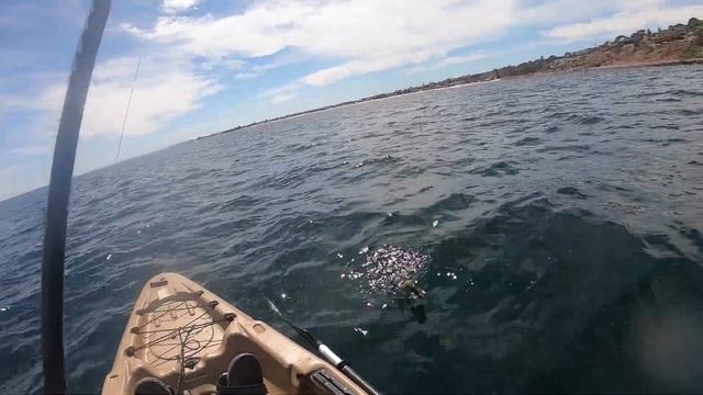 Seacliff Kayak Fishing For a Mix Bag!! смотреть онлайн