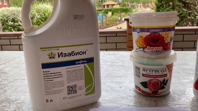 Розы. Провоцируем рост базальных побегов. Главная подкормка роз под корень. ??? смотреть онлайн