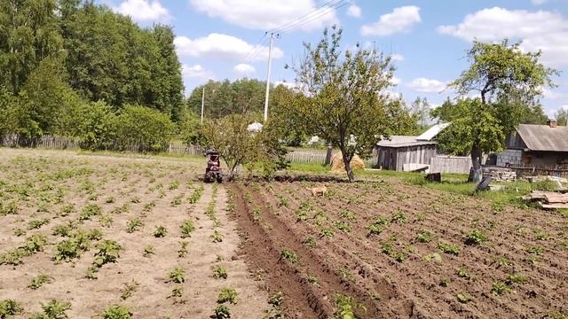 Первое окучивание. Колея 50см смотреть онлайн