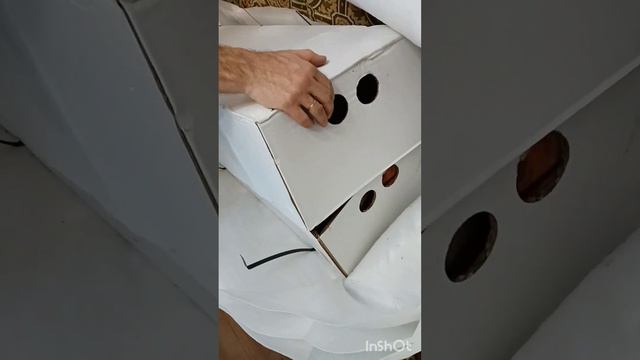 Новогодняя поставка растений! Обзор распаковки! смотреть онлайн