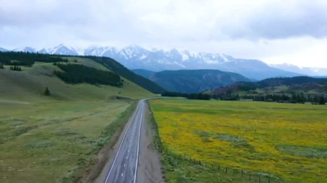 Снова едем на... смотреть онлайн
