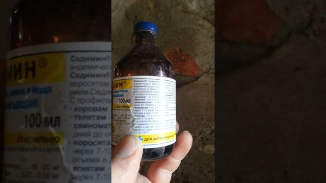 (452) профилактика ветеринарное для ягнят. смотреть онлайн