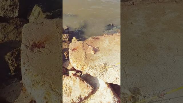 Baytown texas wero gonzalez смотреть онлайн