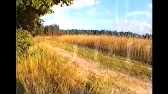 СПОРЫШ трава - горец птичий ЛЕЧЕБНЫЕ СВОЙСТВА применение, польза, при почках подагре, как завариват смотреть онлайн