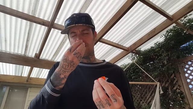 Red Savina Habanero Tasting!