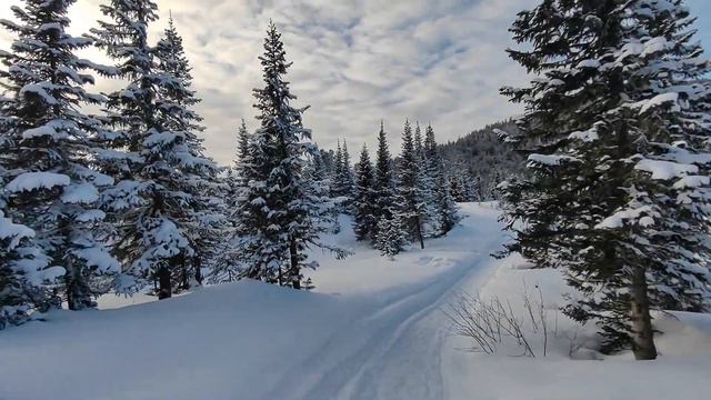 Ст.Темная падь - Ст.Ангасолка - Слюдянка - метеостанция - 2 голец у пика Черского - и обратно... смотреть онлайн