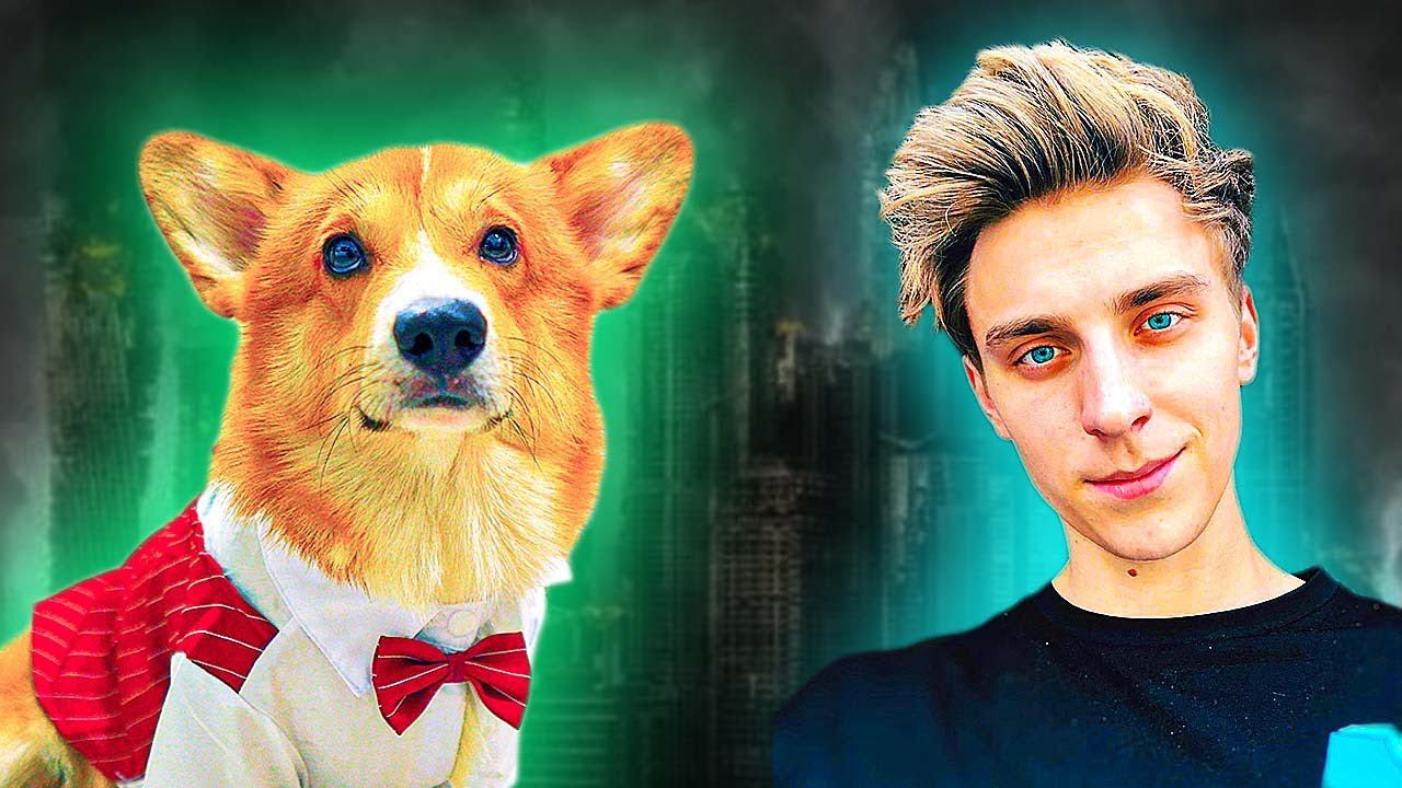 Я ЗНАЮ ГДЕ ВЛАД А4 !! (Корги Коржик) Говорящая собака смотреть онлайн