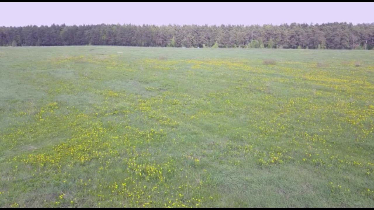 VID 20190512 WA0007 смотреть онлайн