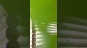 Красивые Наличники из дерева