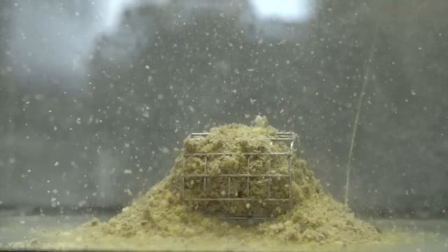Marcel VDE feeder+natuur смотреть онлайн