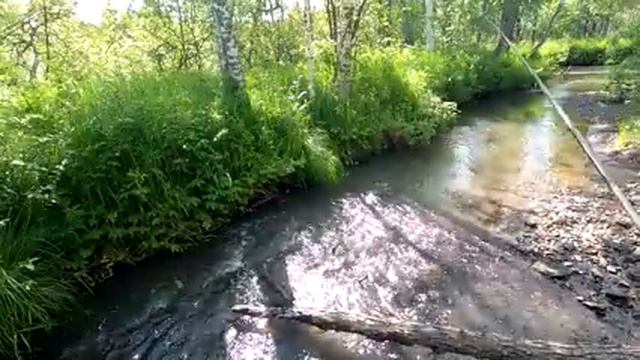 Рыбалка на ДИКОГО Хариуса/МЕДВЕДЬ на ЧЕКУ!/Верховье одной ДИКОЙ Речушки. смотреть онлайн