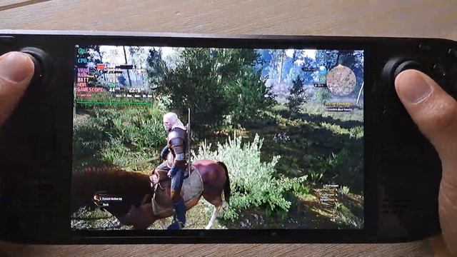 Steam Deck OLED / The Witcher 3 / Improved FPS With DLSS Frame Generation Mod / SteamOS 3.5.7